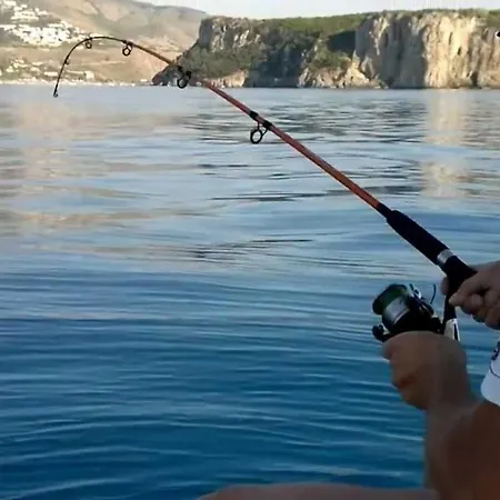 Country house Il Casale Dell'artista