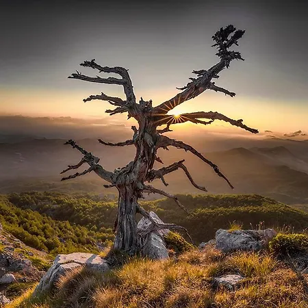 Country house Il Casale Dell'artista *