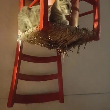 Il Casale Dell'artista 컨트리하우스 Laino Borgo