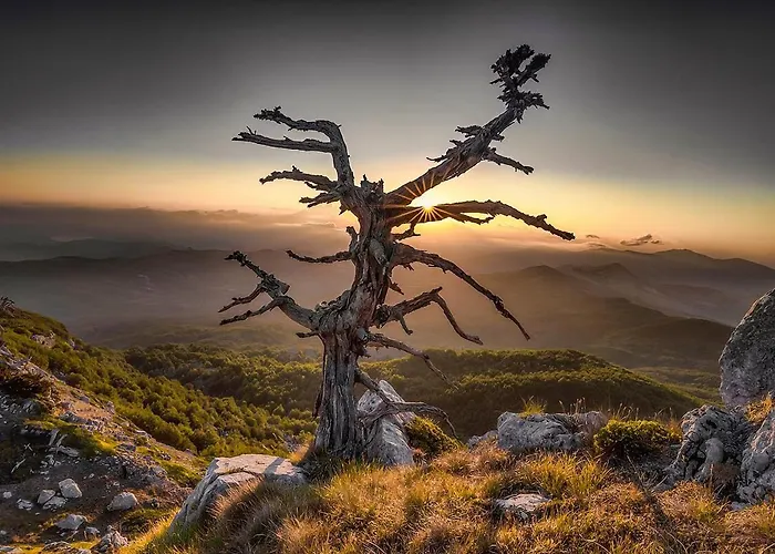 Casa de Campo Il Casale Dell'artista *