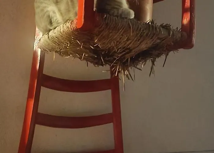 Il Casale Dell'artista Casa de Campo Laino Borgo